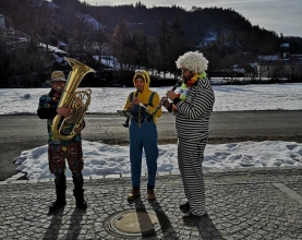 Fasching Musikverein Pregarten 2019 (2)