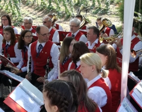 Hopfenklaenge-Musikverein-Pregarten Holz 3