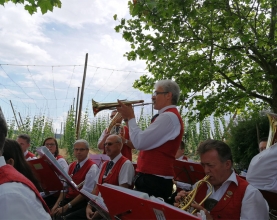Hopfenklaenge-Musikverein-Pregarten-Solist