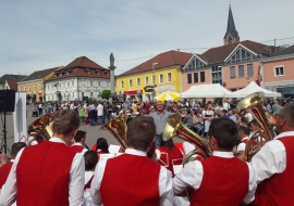 Maibaumfest Pregarten 2018