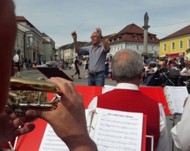 Maibaum-Pregarten-2018-Musikverein-3