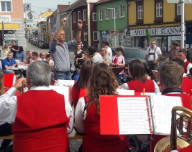 Maibaum-Pregarten-2018-Musikverein-8